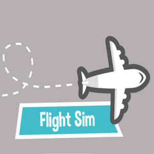 flight-sim